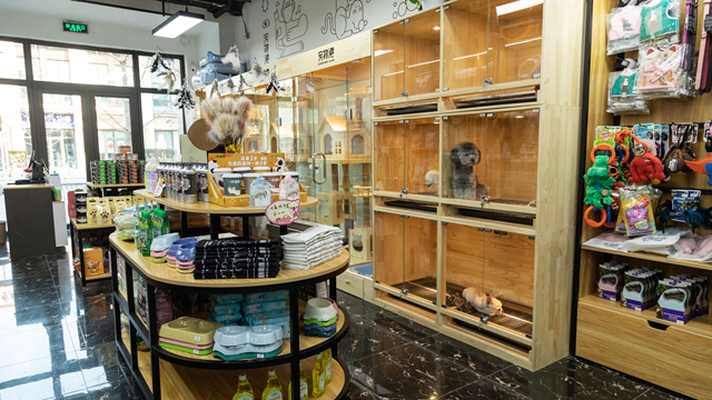 開寵物店能賺錢嗎