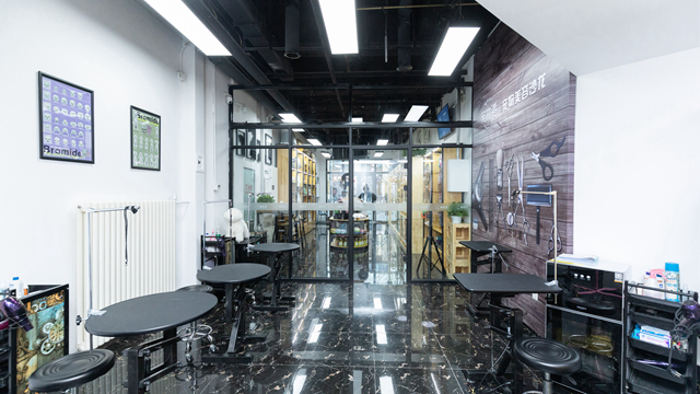 開(kāi)寵物店需要學(xué)什么東西