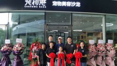 新手開(kāi)家寵物店怎么搶占市場(chǎng)