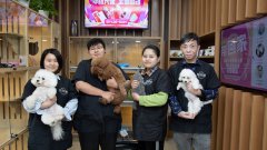 寵物店利潤(rùn)怎么樣呢