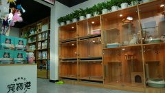 寵物店如何做好開發(fā)新客戶和維護(hù)老客戶