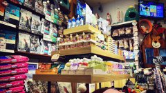 寵物加盟店適不適合投資