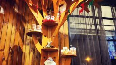 開(kāi)寵物店該如何吸引更多客源