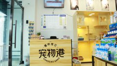 開(kāi)加盟寵物店需要注意什么