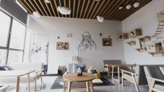 寵物加盟店如何提高顧客進(jìn)店率