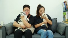 如何才能將寵物店經(jīng)營(yíng)得更好呢