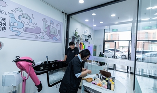 創(chuàng)業(yè)寵物店怎么經(jīng)營(yíng)好